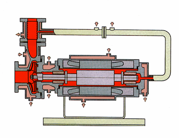 ȫ��������ѭ��