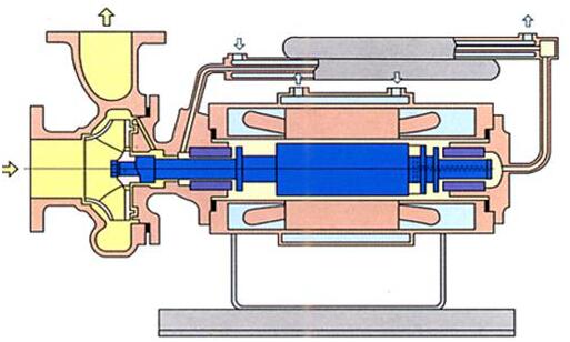 ���������α�