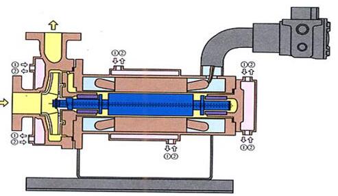 ���ڵ������α�